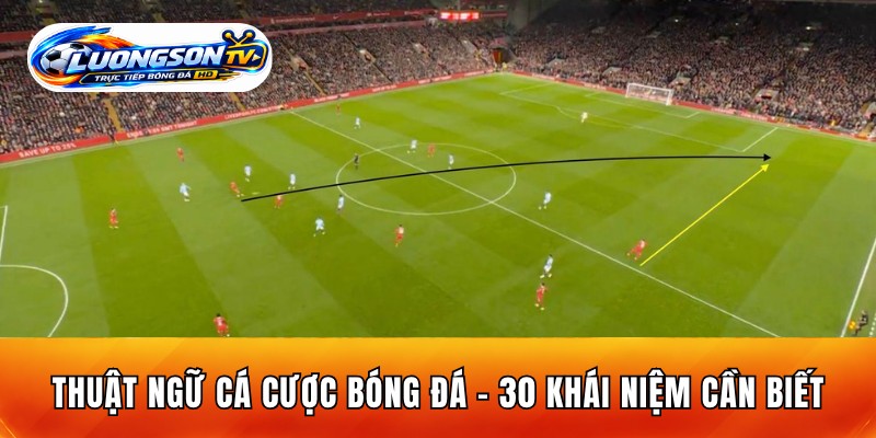 Thuật Ngữ Cá Cược Bóng Đá - 30 Khái Niệm Cần Biết